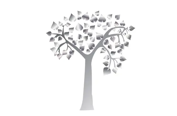 SilverBirch Healthcare Ltd - outside view of care home