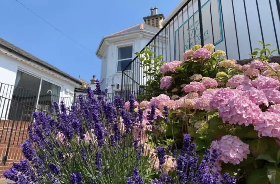 Dene Court Care Home - An outside view of the home