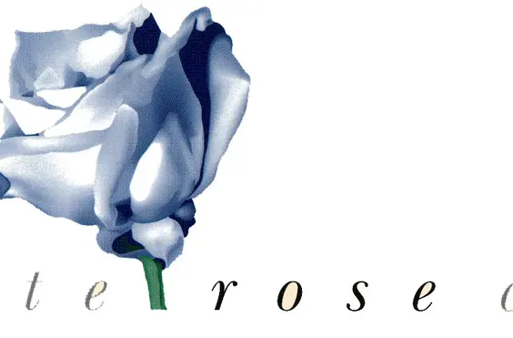 Newlands - outside view of care home