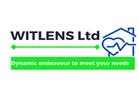 Witlens Ltd - A company logo