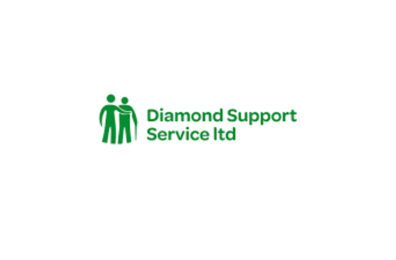 Diamond Support Services Limited - A company logo