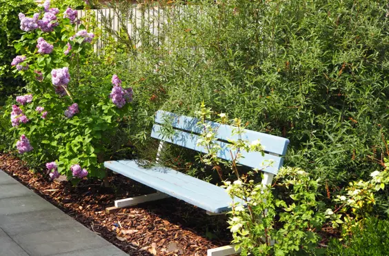 THE CHESTNUTS RESIDENTIAL CARE HOME - outside view of care home