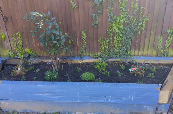 Cedar Court Care Home - Photo of the garden where applicable