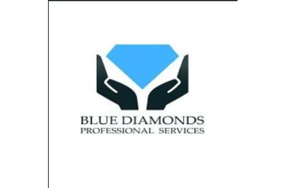 Blue Diamonds Professional Services Limited Office - outside view of care home