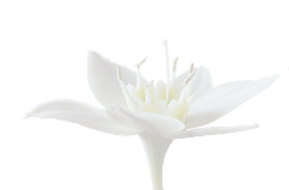 Archmoor Care Home - An additional photo