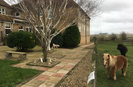 Chimnies Residential Care Home - outside view of care home
