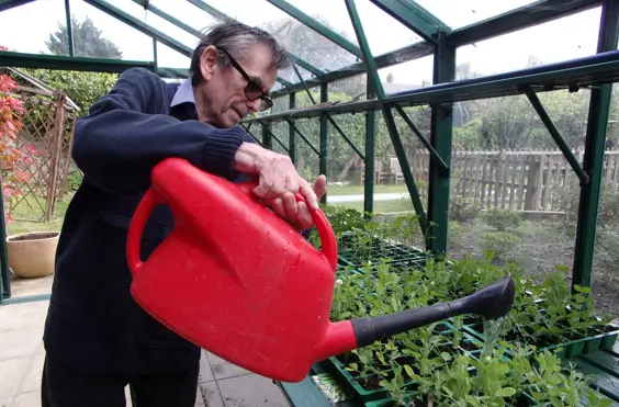 Downside House - Photo of the garden where applicable