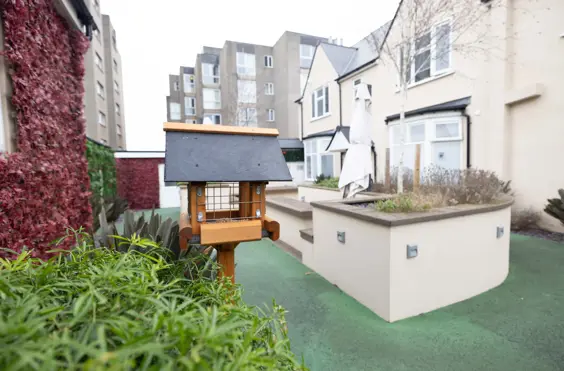 Manor Park Nursing Home - Photo of the garden where applicable