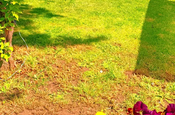 Dalmeny House - outside view of care home