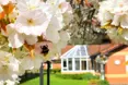 Photo of the garden where applicable