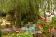 Photo of the garden where applicable