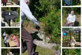 Photo of the garden where applicable