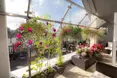 Photo of the garden where applicable