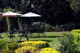 Photo of the garden where applicable