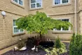 Photo of the garden where applicable