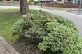 An additional photo of the care home