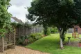 Photo of the garden where applicable