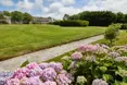 Photo of the garden where applicable