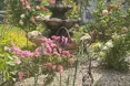 Photo of the garden where applicable