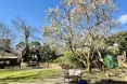 Photo of the garden where applicable