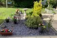 Photo of the garden where applicable
