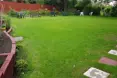 Photo of the garden where applicable