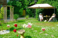 Photo of the garden where applicable