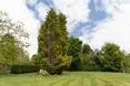 Photo of the garden where applicable