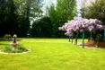 Photo of the garden where applicable