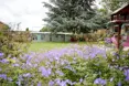 Photo of the garden where applicable