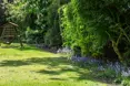Photo of the garden where applicable