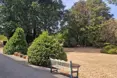 Photo of the garden where applicable