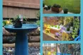 Photo of the garden where applicable