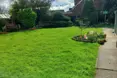 Photo of the garden where applicable
