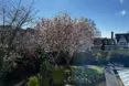 Photo of the garden where applicable