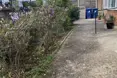 Photo of the garden where applicable