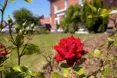 The outside view of home and search result image